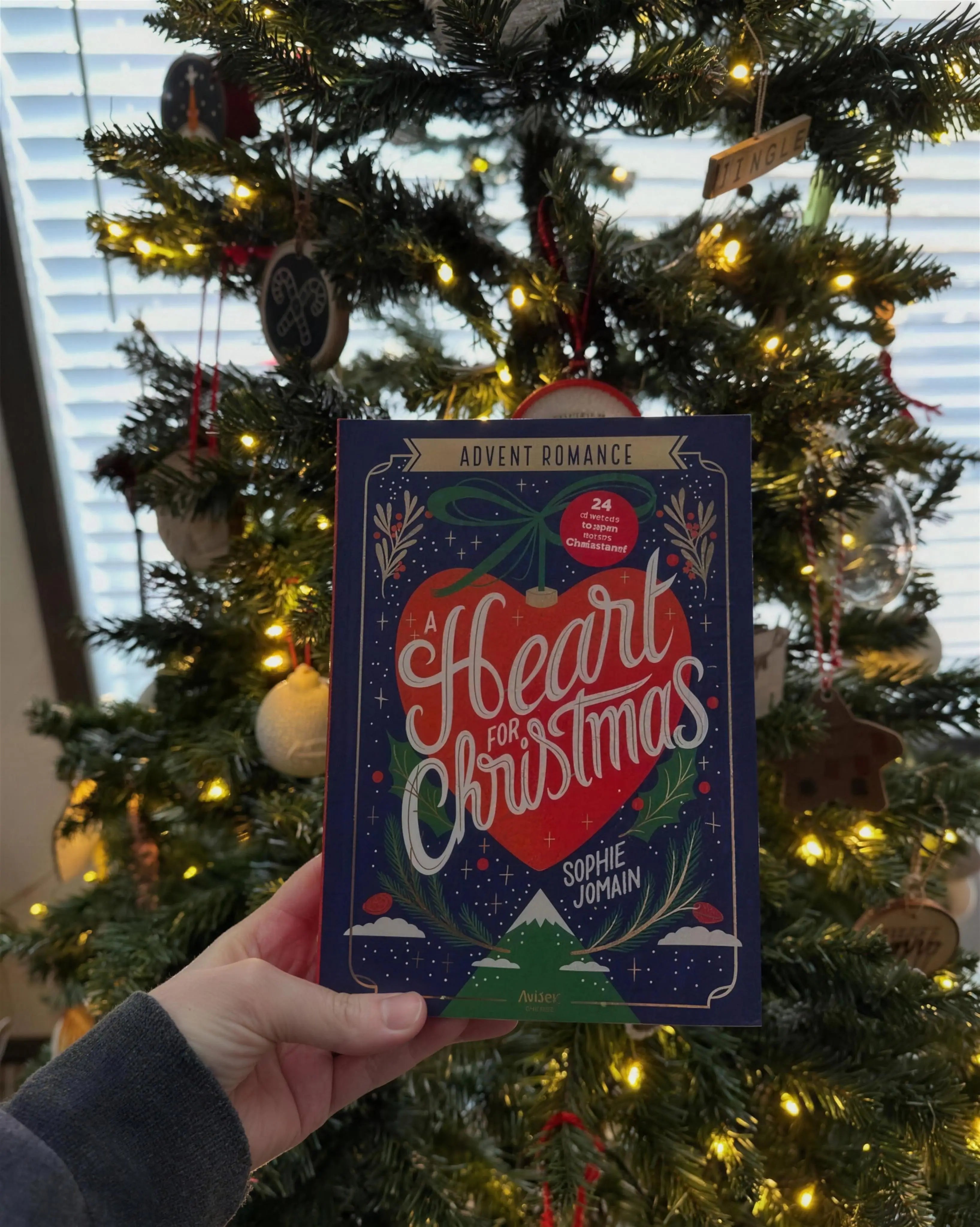 24 Day Advent Book